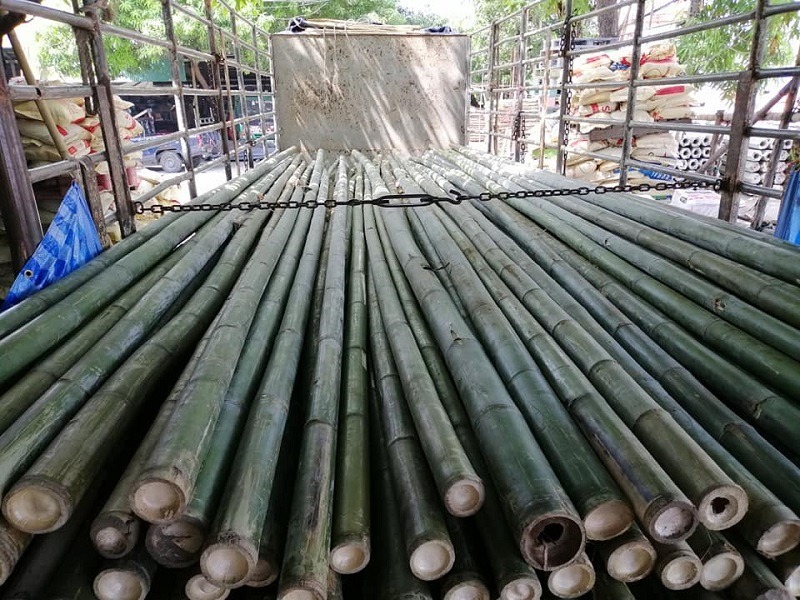 ขายไม้ไผ่ ไม้ลวก รามอินทรา